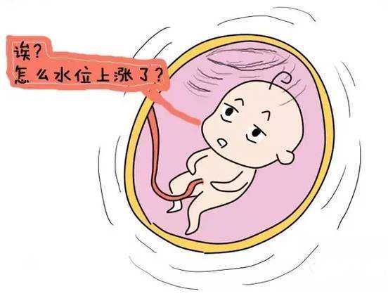 深圳借卵代生医院与三代试管机构名单，高成功率公立助孕机构推荐