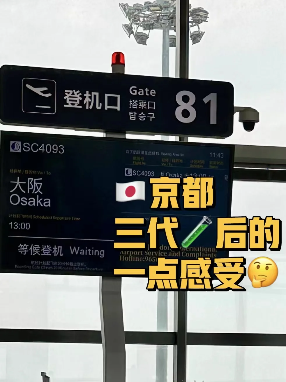 在日本进行三代试管助孕的亲身经历分享与国内供卵试管时间及成功率解析