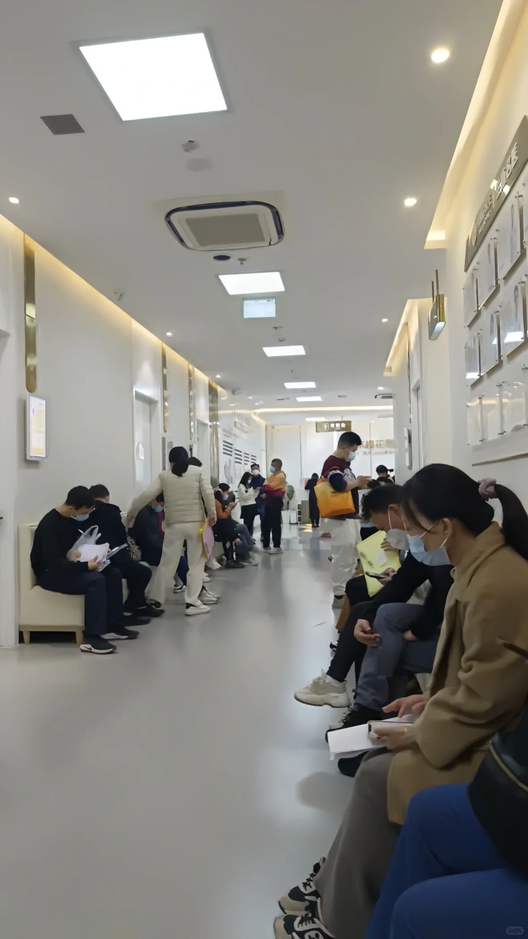 移植3次失败转战木棉花，专业助孕服务